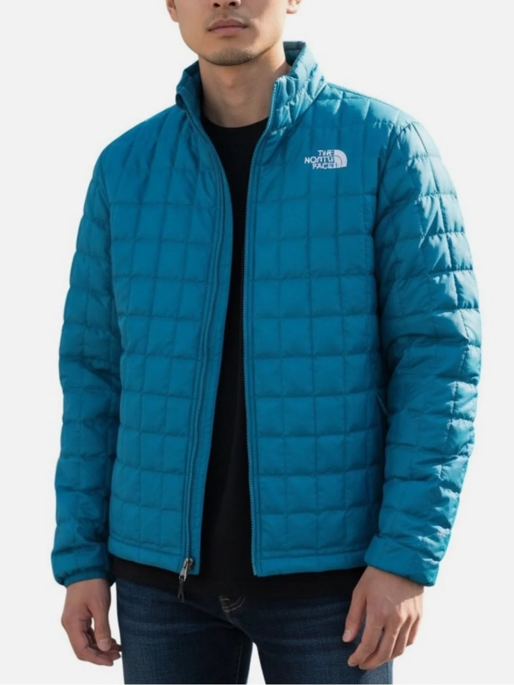 The North Face north face